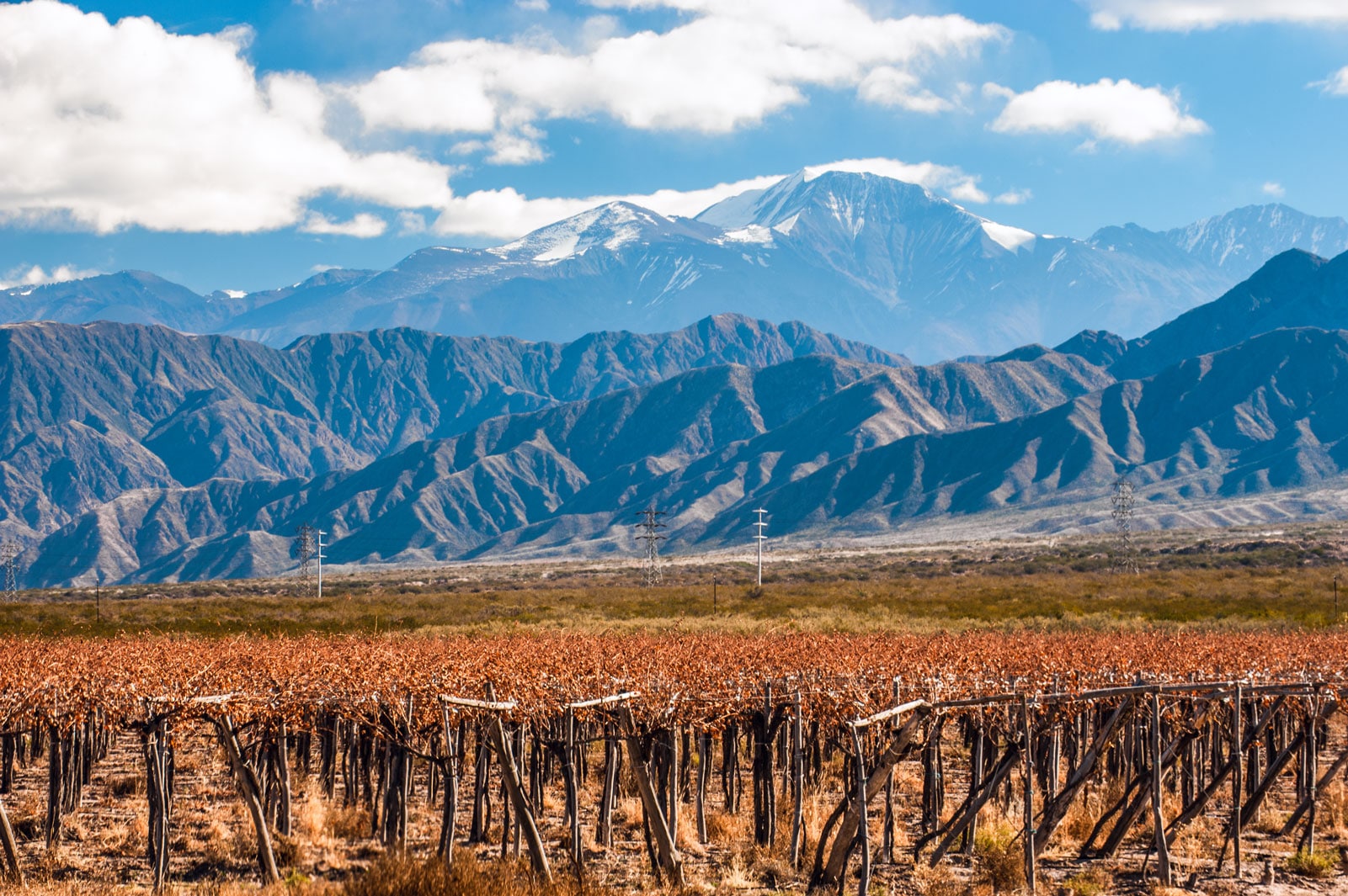 A idade de ouro da vitivinicultura de Mendoza